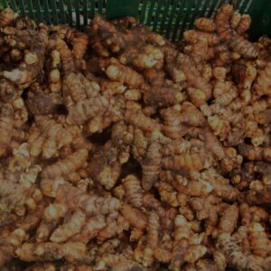 curcumin